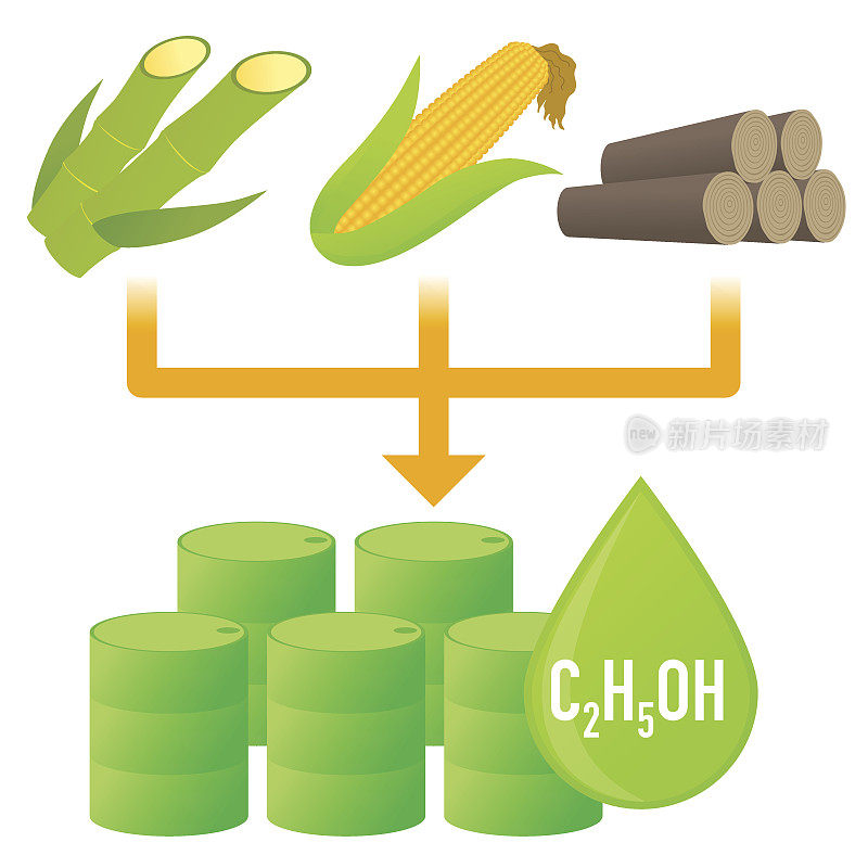 生物燃料:生物质乙醇，图解