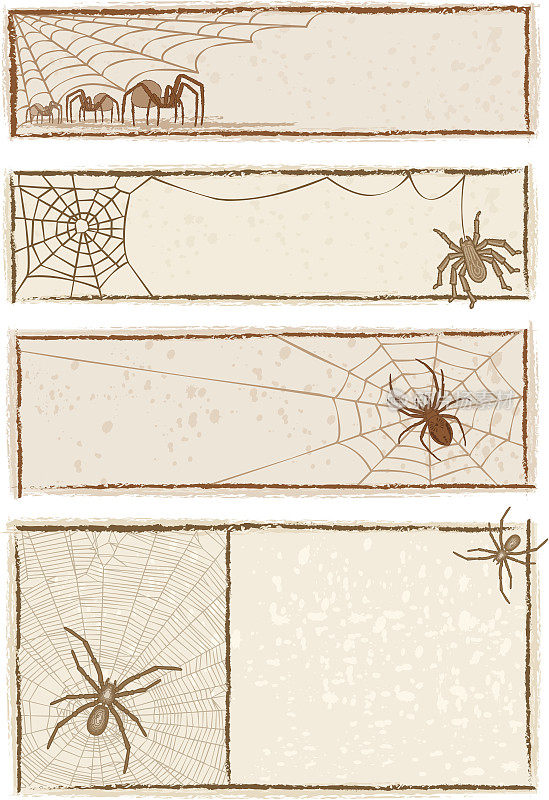 蜘蛛网横幅