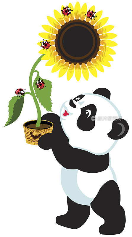 卡通熊猫抱着向日葵