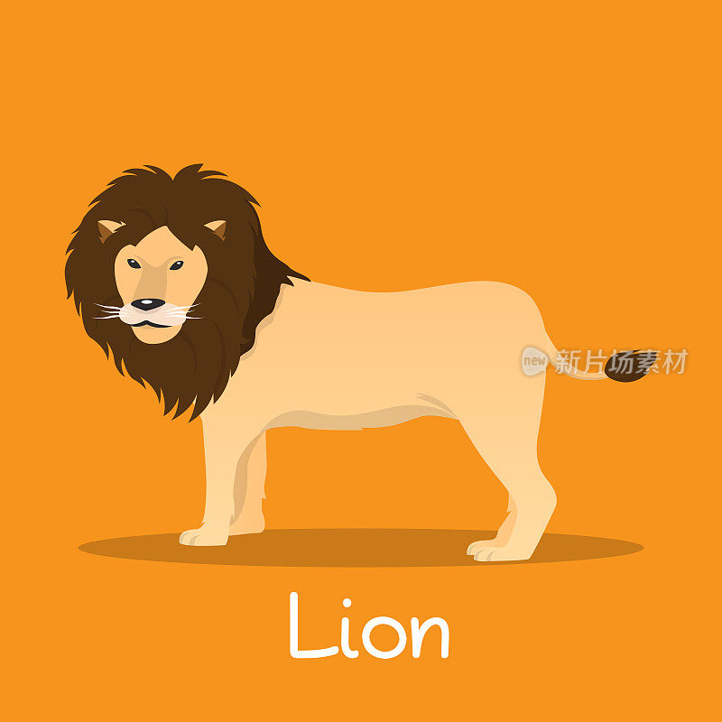 狮子扁载体非洲野生动物。动物园野生动物插图