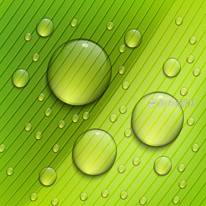 绿色植物的背景。雨滴落在树叶上。矢量插图。