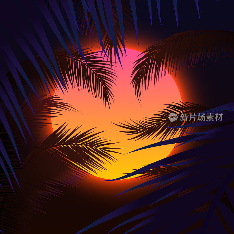 日落与棕榈树，太阳和棕榈叶