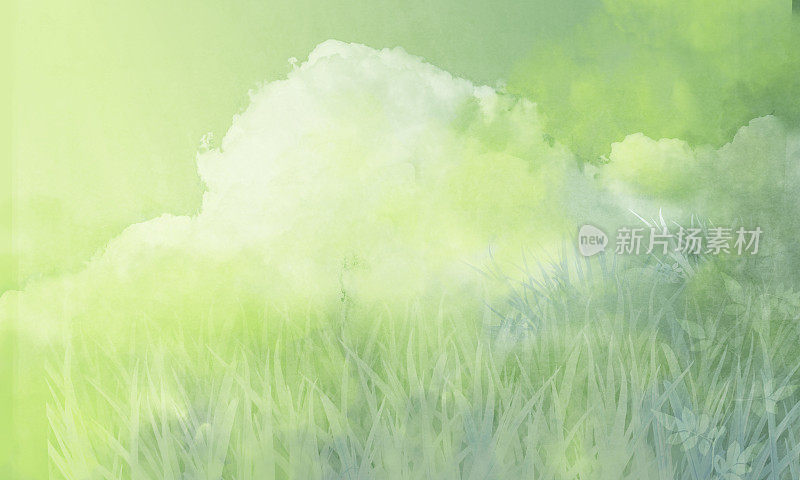 云和草地-夏天
