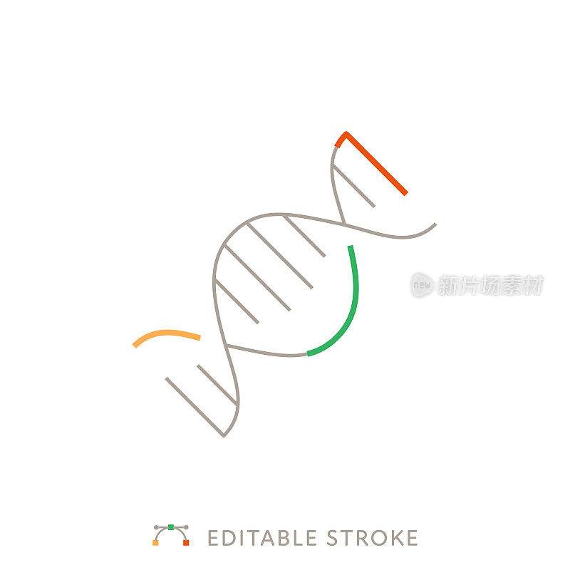 DNA多色线图标与可编辑的Stroke