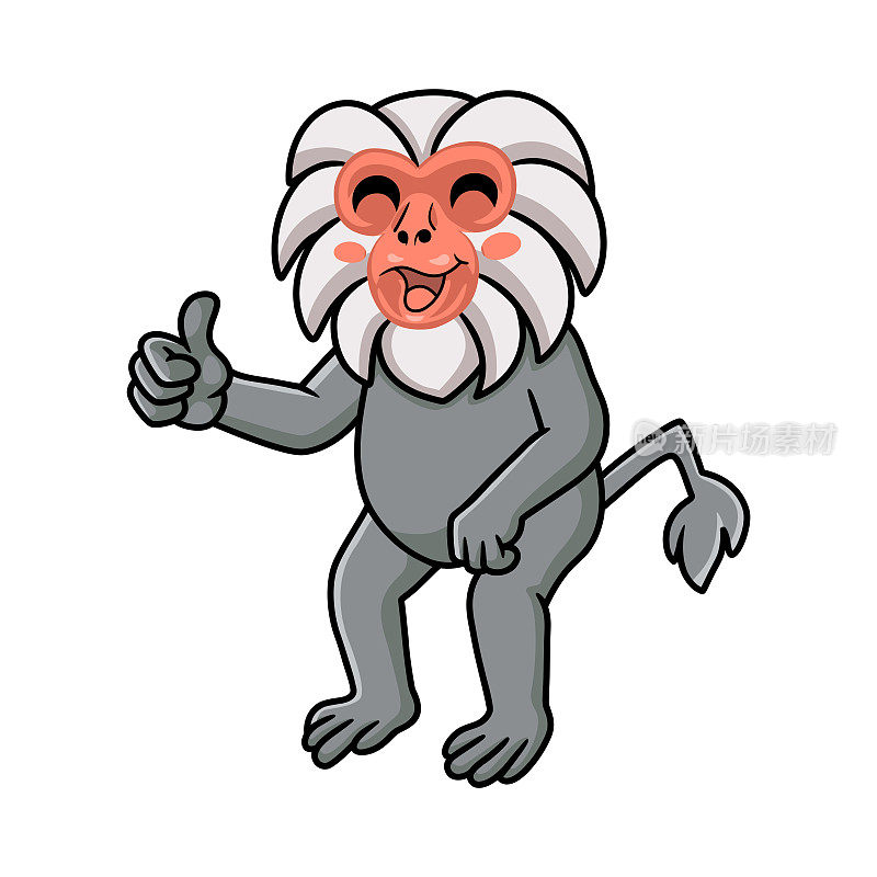 可爱的小hamadryad猴子卡通竖起大拇指