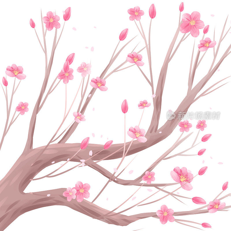 粉红色桃花水彩画插图