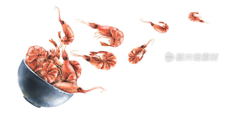 陶瓷碗里的煮虾漂浮着。水彩插图。来自SHRIMP集合的合成。适合设计和设计菜单，食谱，包装，咖啡馆，餐厅