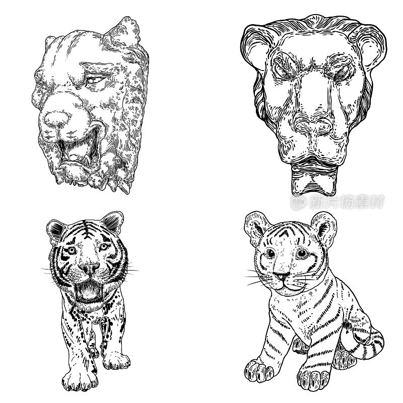 一组活的老虎幼崽咆哮和咆哮。画活的和石头制成的身体和枪口。亚洲动物，中国农历新年的象征和生肖。向量。