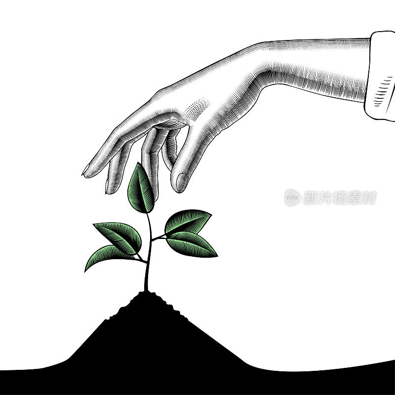 一个女人的手拿着正在生长的植物。