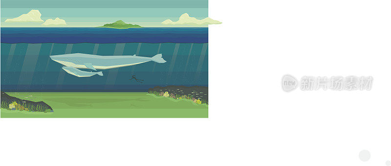 鲸鱼在海底景观