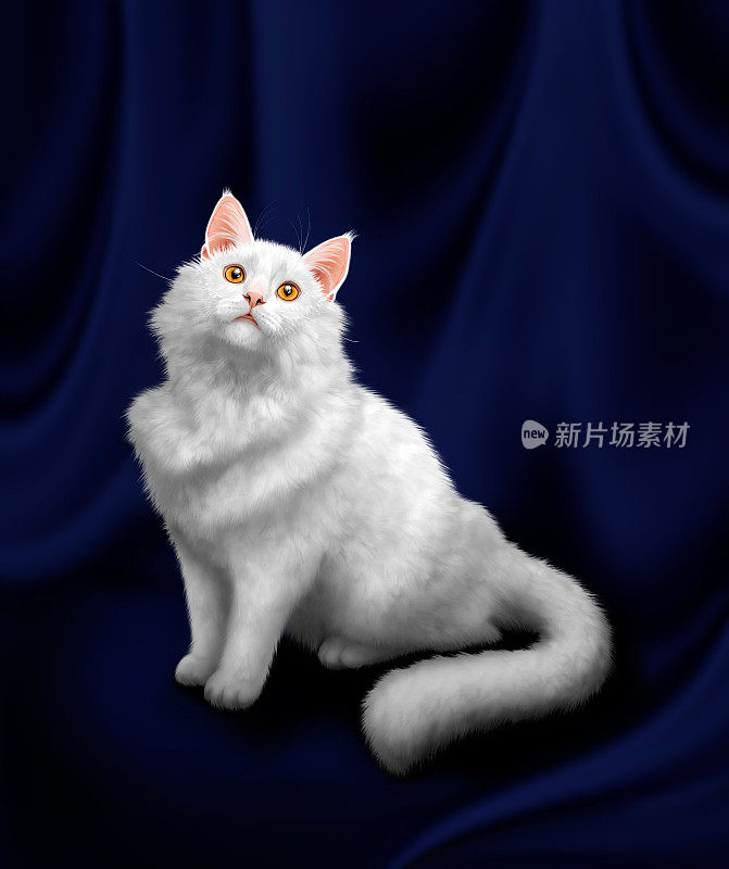 栅格插图，白色缅因猫