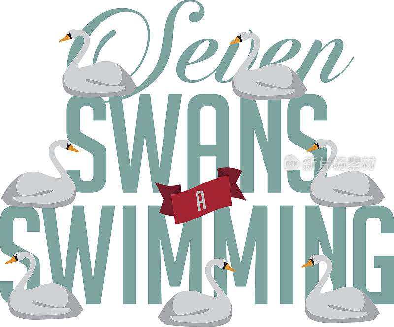 七只天鹅在游泳