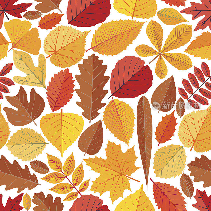无缝图案与秋天的树叶