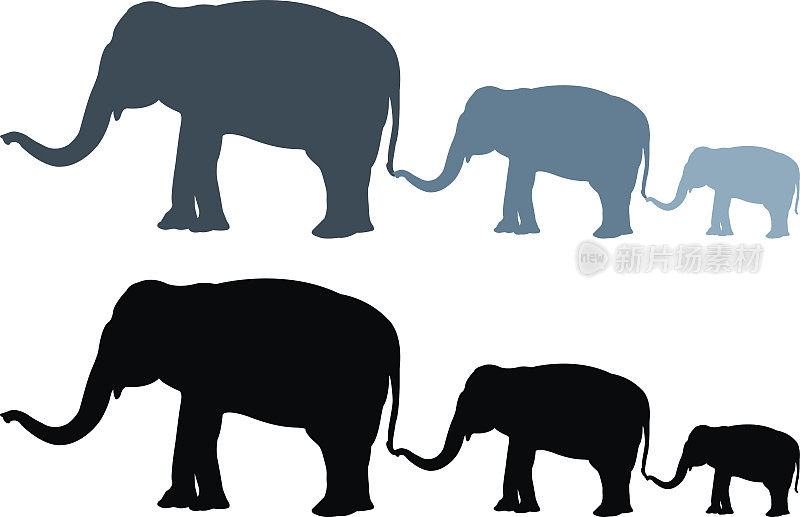 大象轮廓集