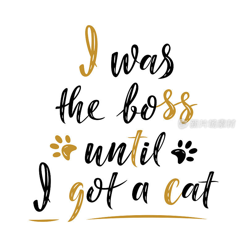 我一直是老板直到我得到了一个手写的猫标志