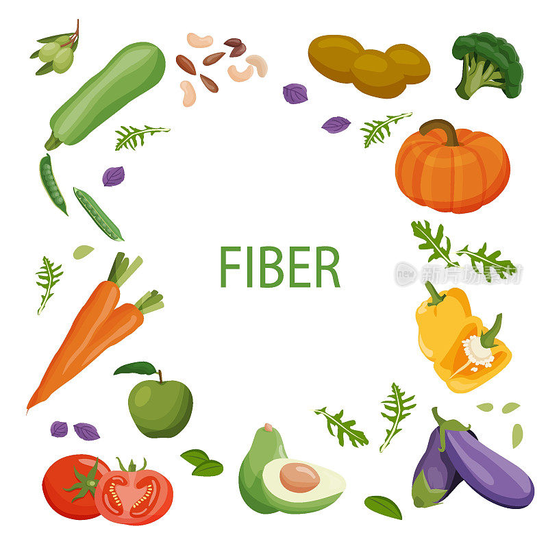 一套健康食品宏量营养素。纤维:食品中含有的纤维或纤维素西红柿，辣椒，西葫芦，茄子，西兰花，卷心菜，胡萝卜，豌豆。营养类别矢量图。