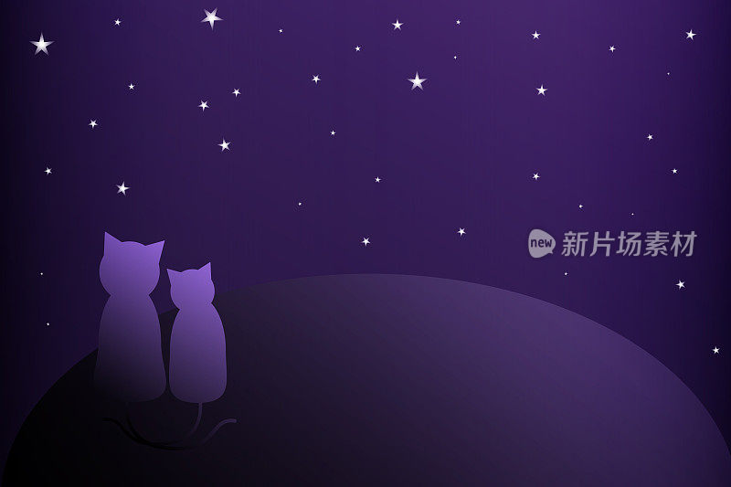 猫看夜景