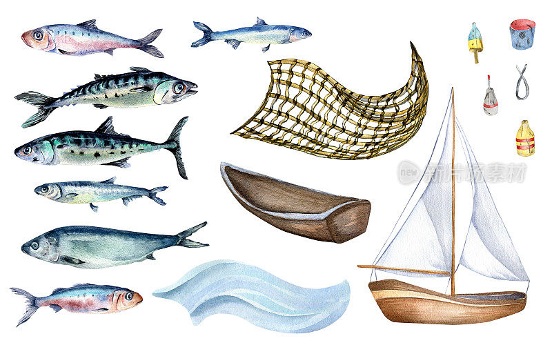 集各种新鲜的海鱼水彩插图孤立的白色。鱼网和鲭鱼、鲱鱼、凤尾鱼、沙丁鱼手工绘制。食谱、招牌、菜单、市场、包装的设计元素