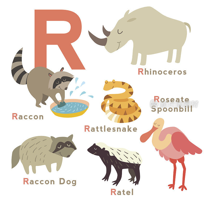 R字母动物设置。英语字母表。矢量图