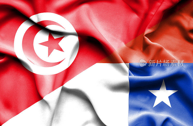 挥舞着智利和突尼斯的旗帜