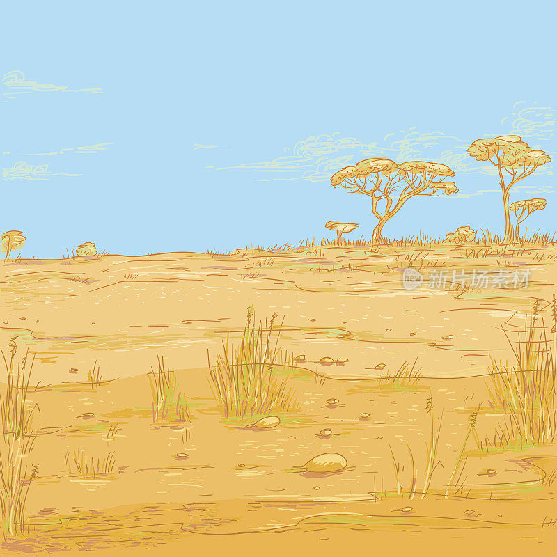 矢量色彩素描景观插图。非洲沙漠、干旱的大草原，高高的蓝天和淡淡的白云。在远处的地平线上，可以看到树木和灌木