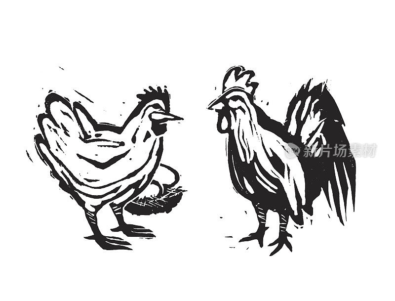 木头割鸡和公鸡农场的鸡