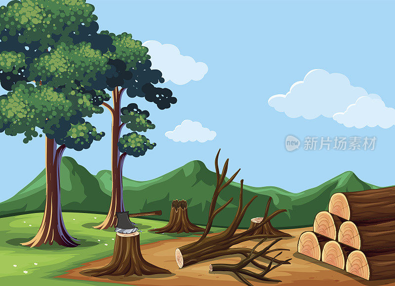 森林场景与砍伐的树木