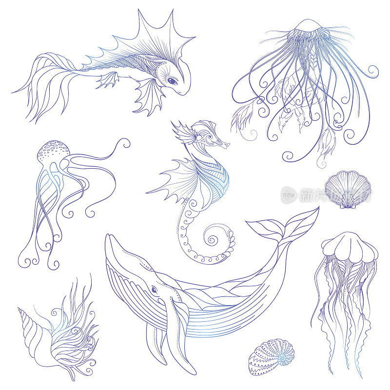 海洋生物集，矢量插图，海洋和海洋生物，鲸鱼，鱼，贝类，水母，海马