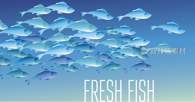 新鲜的鱼矢量插图组头部，网页，打印，卡片和邀请。大量的鲱鱼或鳕鱼在海水中游动。