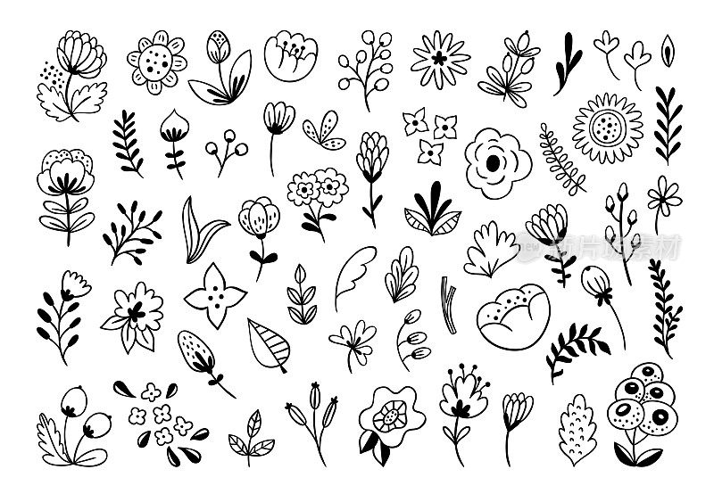 手绘花卉和植物大向量集。可爱的花卉，叶子，植物，花卉插图
