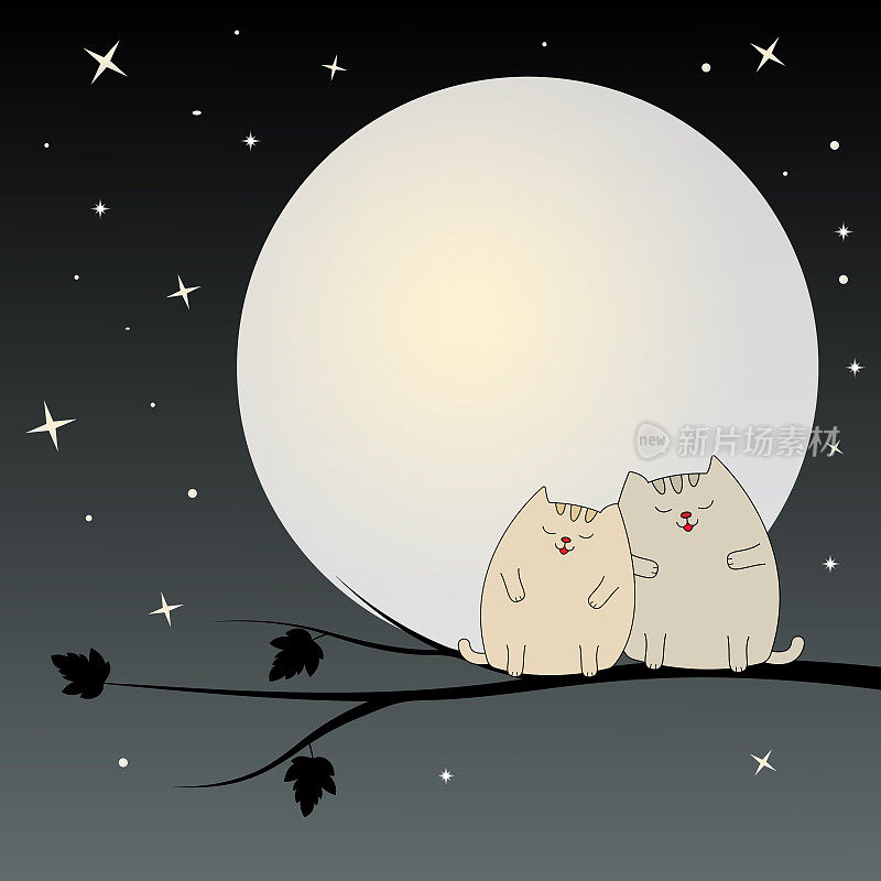 满月的时候，两只漂亮可爱的猫坐在树枝上。