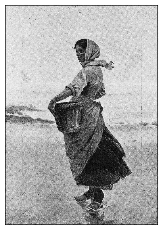 古董照片:一个女人在海滩上采集贝壳