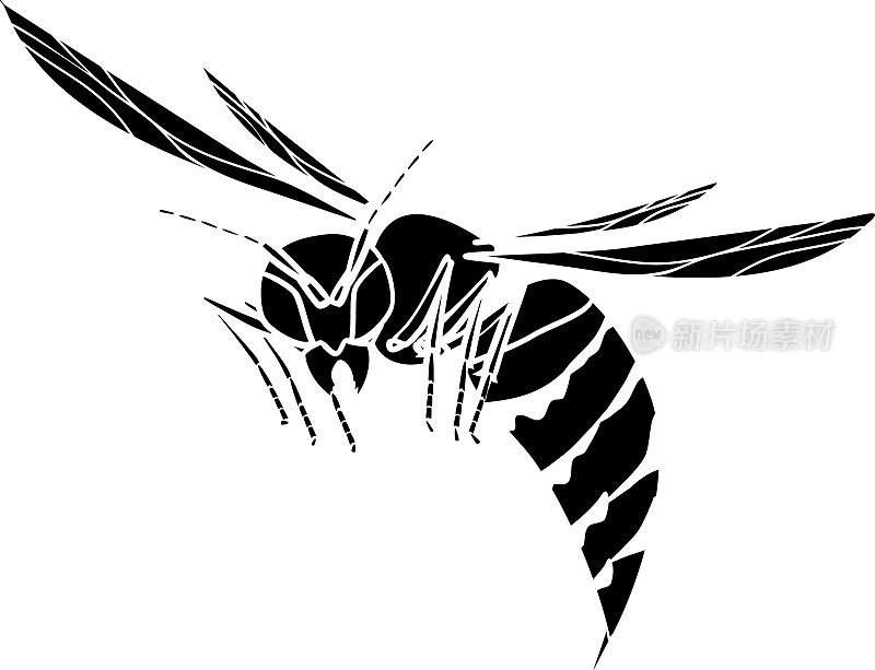 黑色的轮廓飞行的欧洲大黄蜂(黄蜂)孤立的白色背景