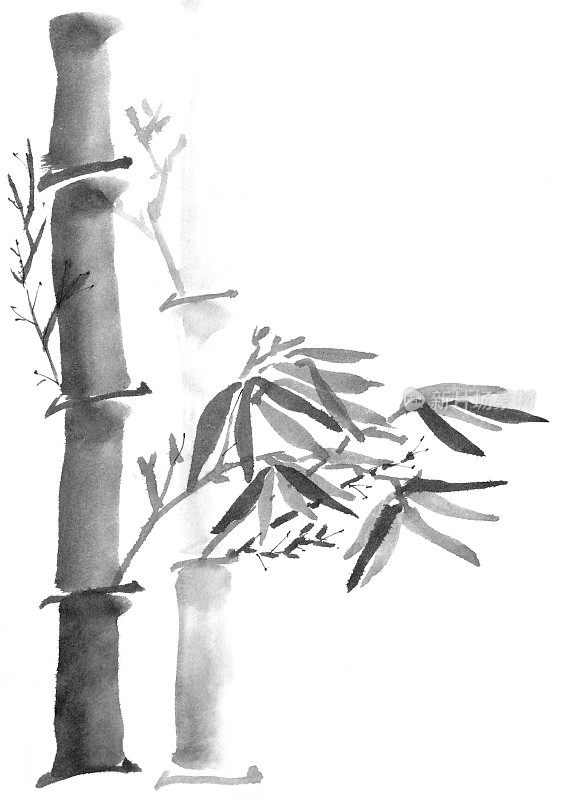 竹干叶黑白水墨画