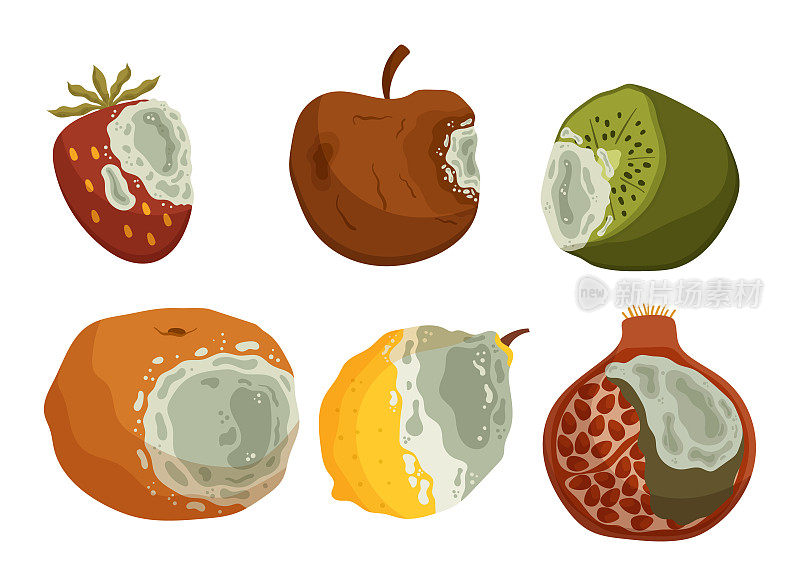 腐烂和腐烂的水果，草莓，苹果，猕猴桃和橙子，柠檬和石榴石已失去新鲜度