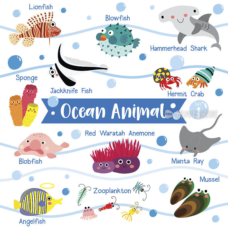 海洋动物卡通与动物的名字矢量插图。组1