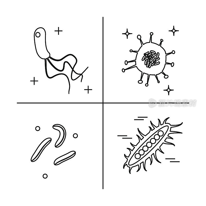 细菌微生物多样性