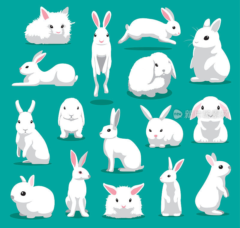 可爱的白兔摆卡通矢量插图