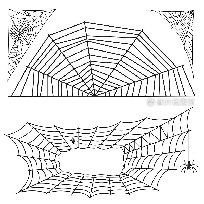 蜘蛛网剪影蜘蛛恐惧图形扁平可怕的动物设计自然昆虫危险恐怖矢量图标