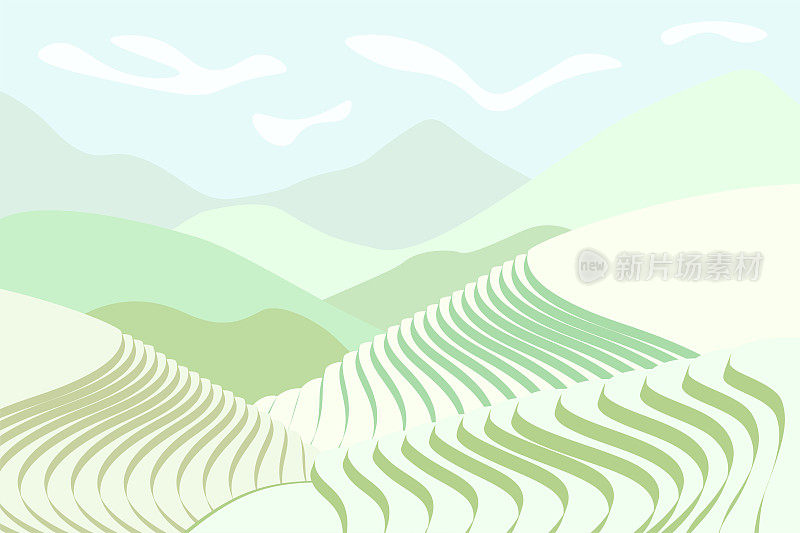 稻田海报。中国山地景观中的农业梯田。雾蒙蒙的田园风光与翠绿的稻田。农民梯田种植。亚洲农业横向背景