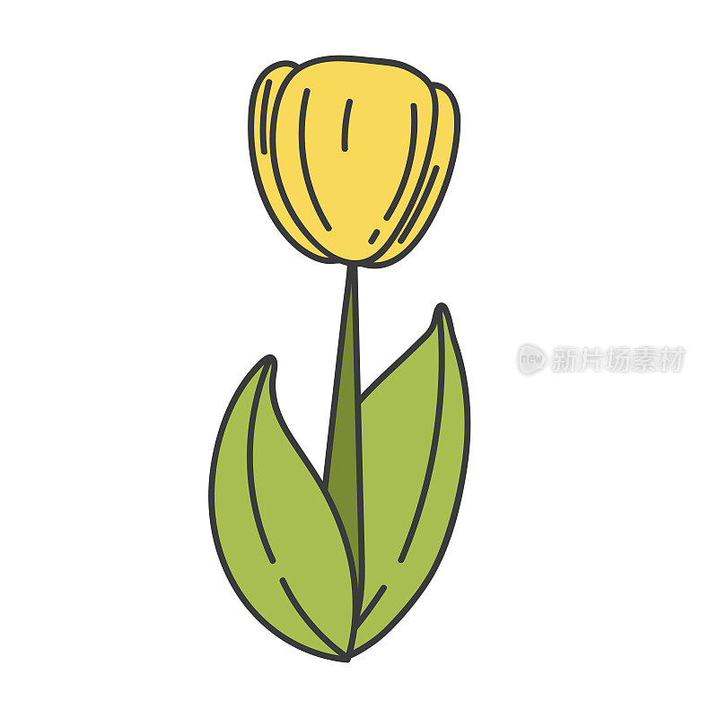 卡通可爱的郁金香与绿色茎矢量插图。春天的花朵
