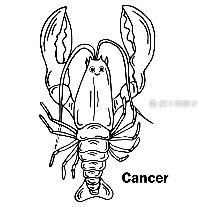 龙虾手绘轮廓涂鸦图标。健康海鲜的矢量素描插图-龙虾或癌症印刷，网络，移动和信息图隔离在白色背景。
