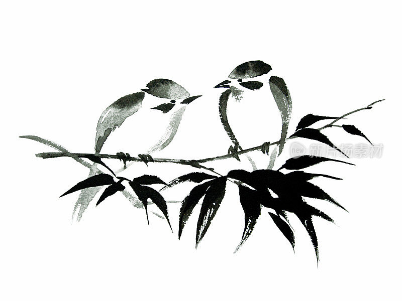 竹上两只鸟的水墨插图。烟灰墨的风格。