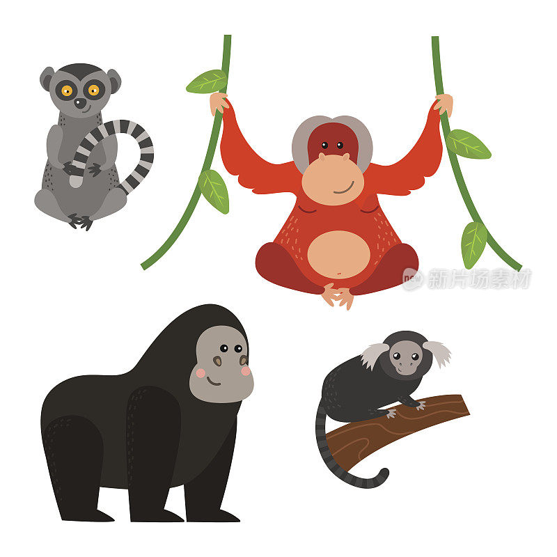 不同类型的猴子珍稀动物载体集
