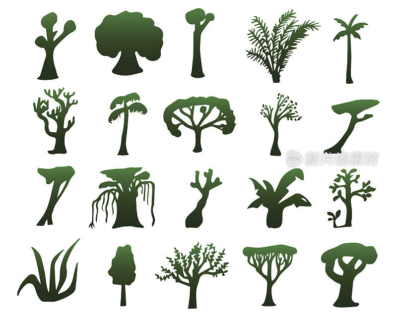 热带树木的手绘剪影。孤立的外来植物的绿色剪影