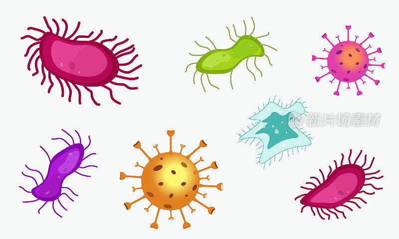 一组不同的病毒和细菌形状。向量