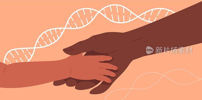 两只手合在一起，爸爸还是妈妈抱着孩子。概念向量插图遗传学，DNA测试，亲子或孕妇测试，遗传疾病，生物学。DNA链的背景。