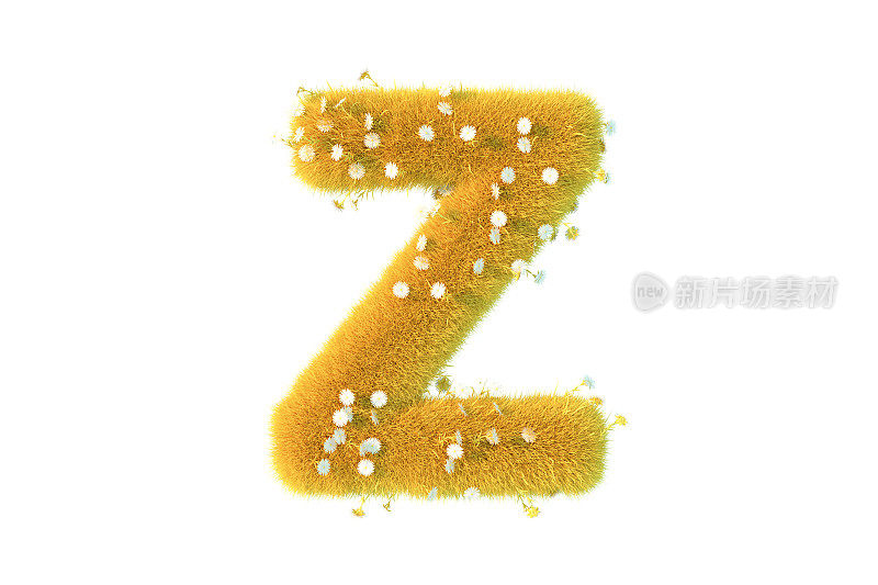 字母Z与黄色的草和花大写白色背景