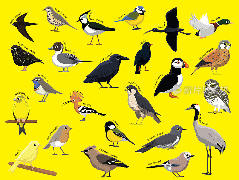 欧洲鸟类与名称卡通人物集1