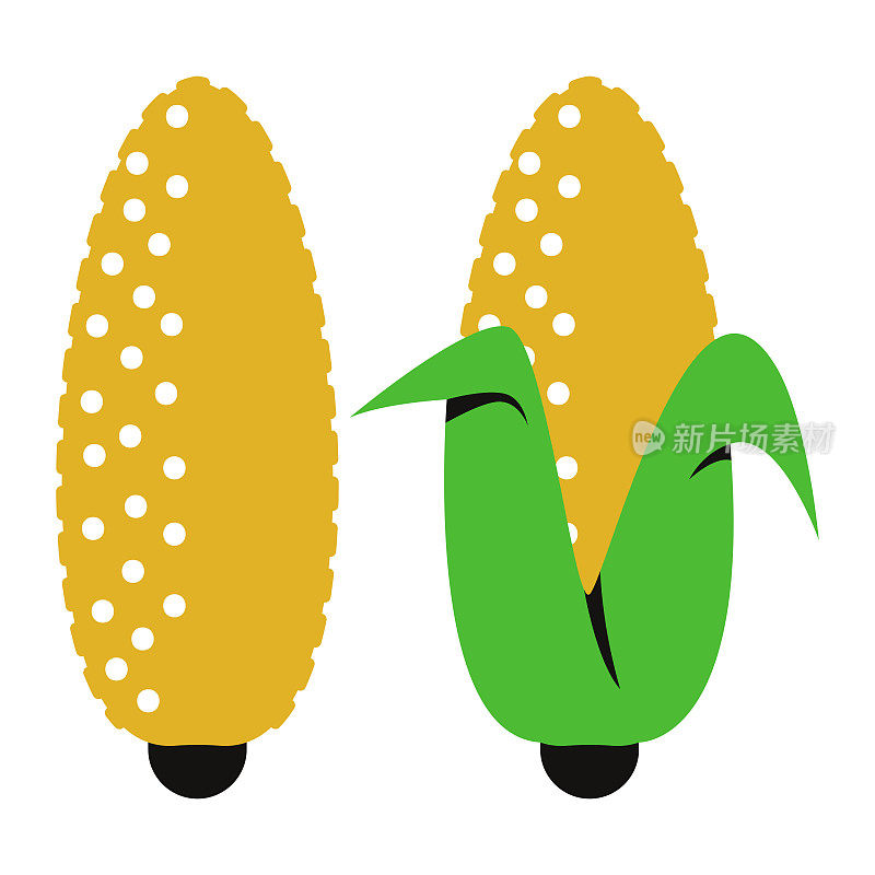 玉米芯矢量简单的插图孤立在一个白色的背景。